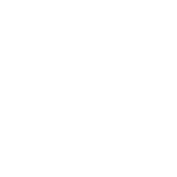Rhinoscourt